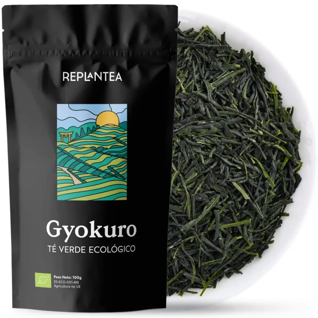 TÉ VERDE GYOKURO JAPONÉS Ecológico 100g (50 Tazas) | Té Gyokuro Premium de Hoja Suelta | Té de Especialidad REPLANTEA